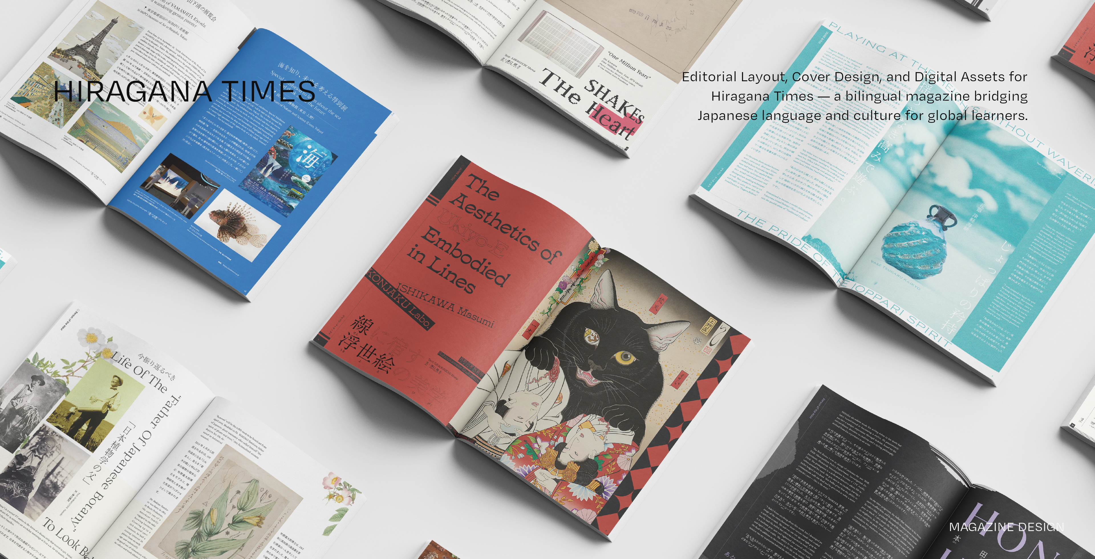 Hiragana Times project